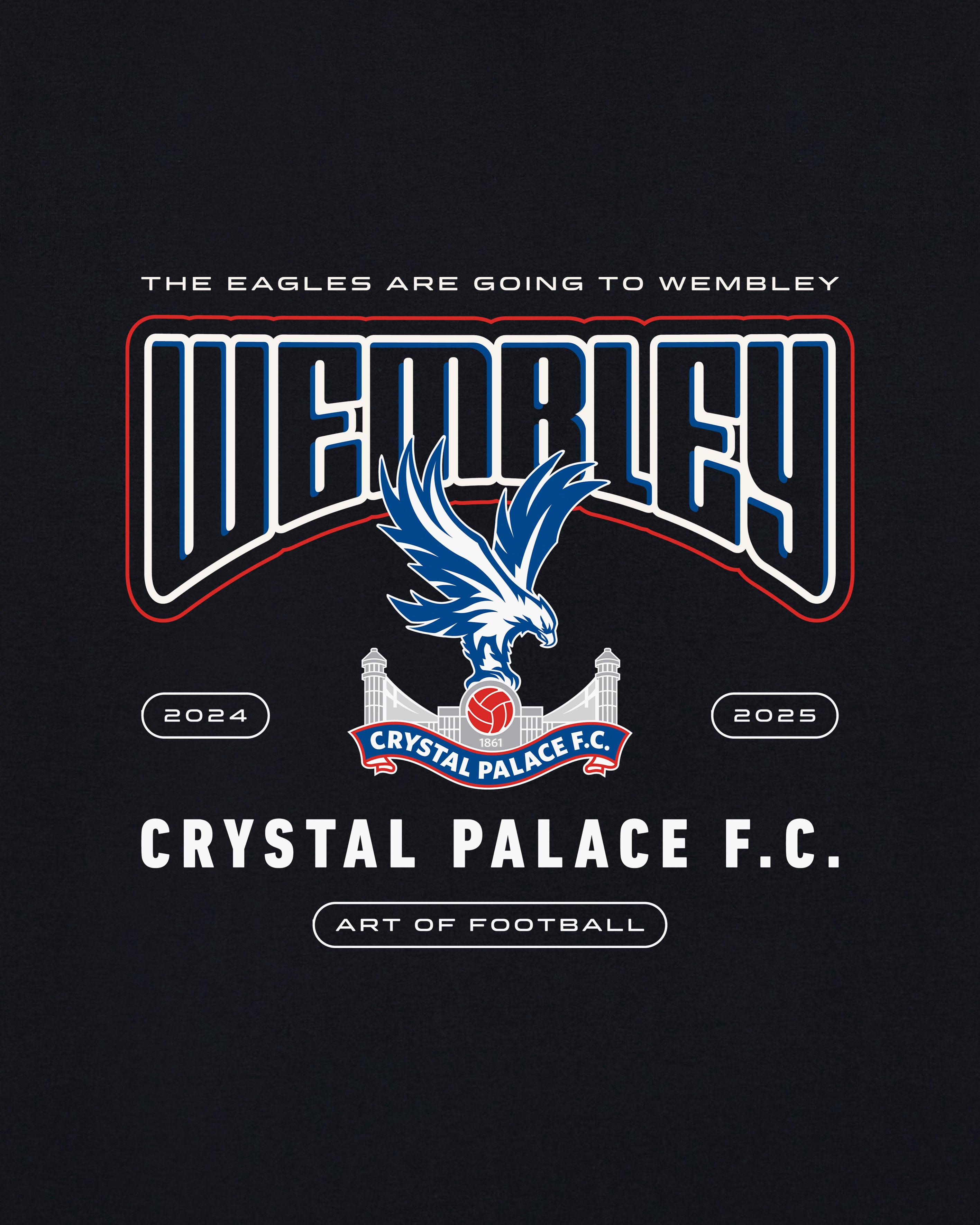 AOF CPFC Palace Cup Finalist 2025 Tee | Black Graphic T-shirt